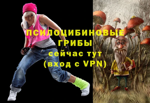 шишки Вяземский
