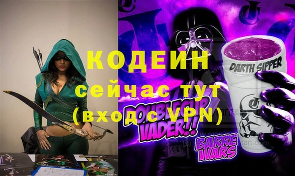 шишки Вяземский