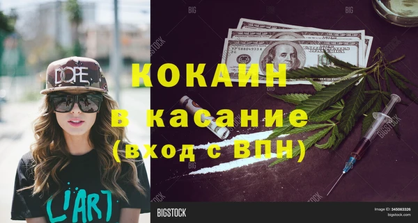 шишки Вяземский