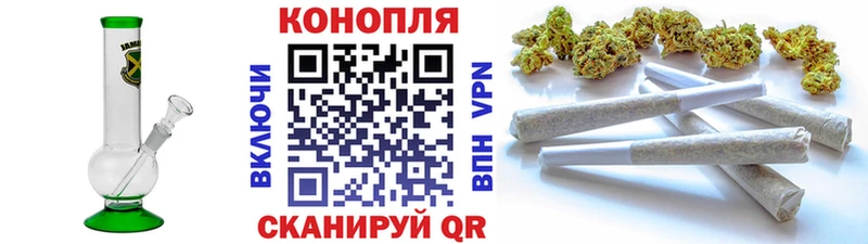 Канабис OG Kush  Зеленокумск 